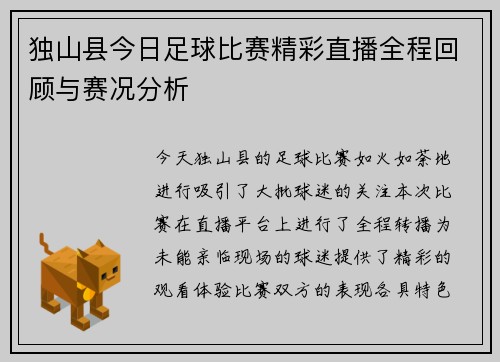 独山县今日足球比赛精彩直播全程回顾与赛况分析